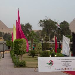 EGY 2017
